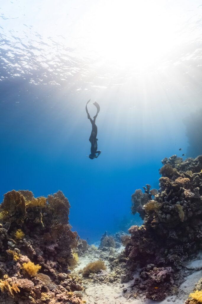 scub-diver-diving-under-sea-explore-india-guide
