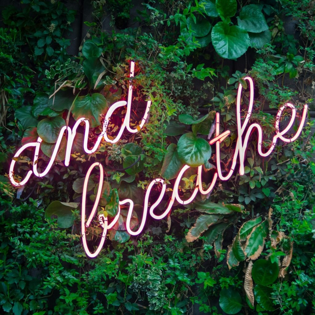 and-breathe-written-on-forest