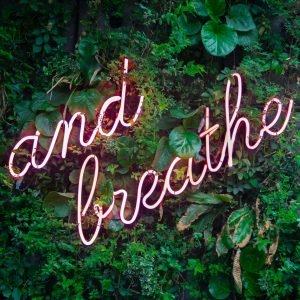 and-breathe-written-on-forest