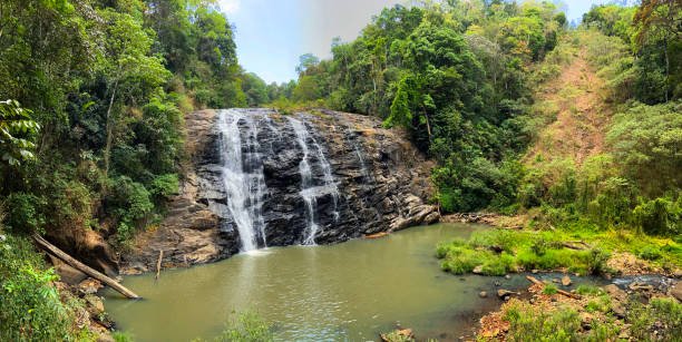 Coorg Coffee Trails: Eco-Lodge Hospitality