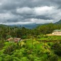 Sivananda Yoga Vendanta Ashram