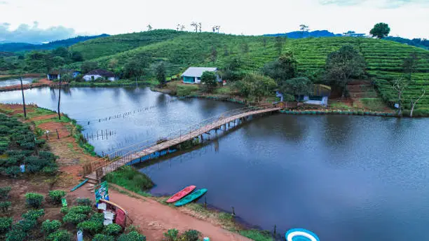 Wayanad Eco-Lodge: Hospitality & Nature Ops