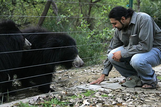 Second Chances: Sloth Bear Rescue, Karnataka