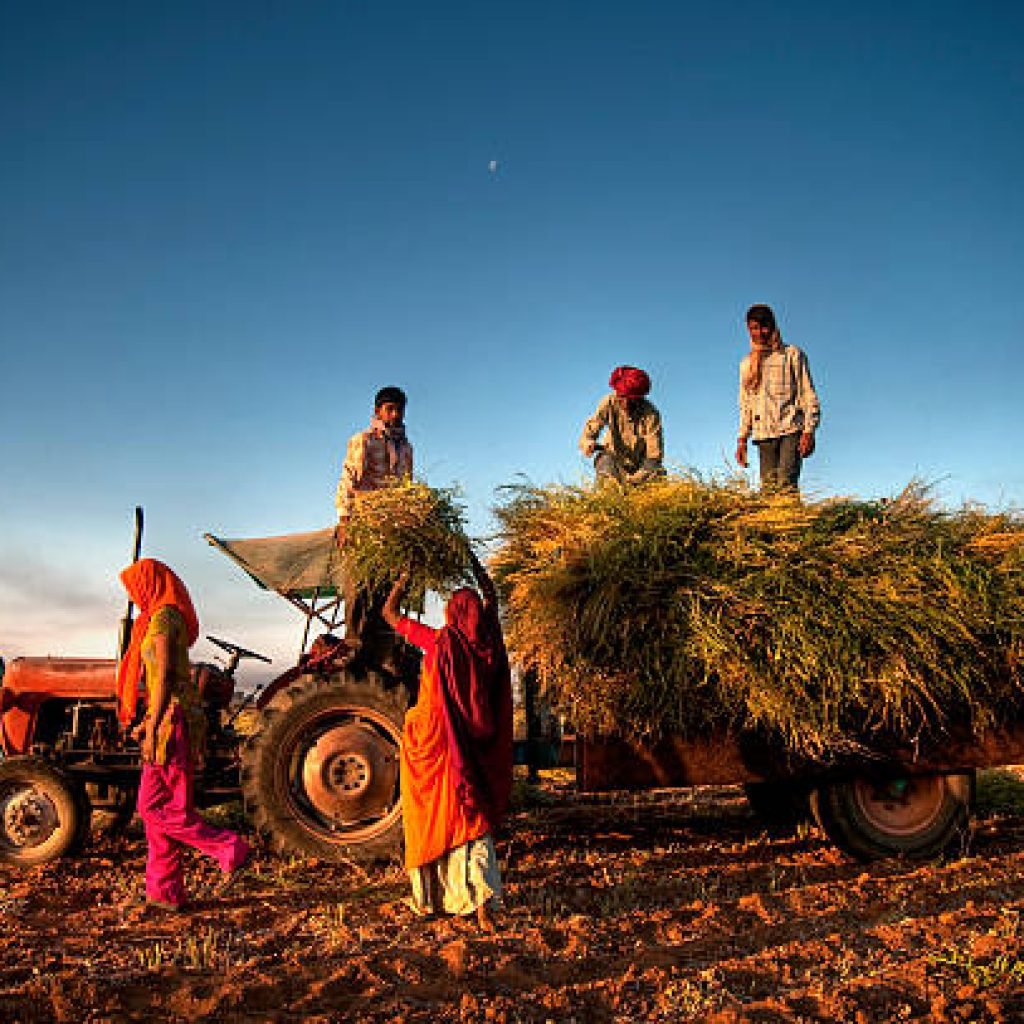 Sriniketan Soil: Organic Roots, Rural Revival