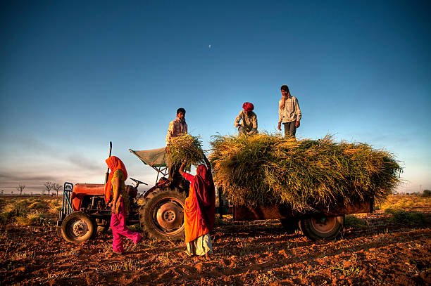 Organic Farm Work
