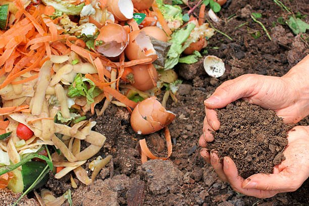 Organic Farm Work