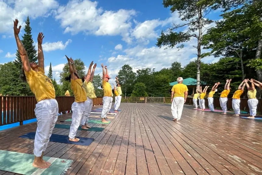 Work Exchange | Yoga and meditation facilitation