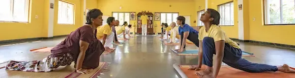 Work Exchange | Yoga and meditation facilitation