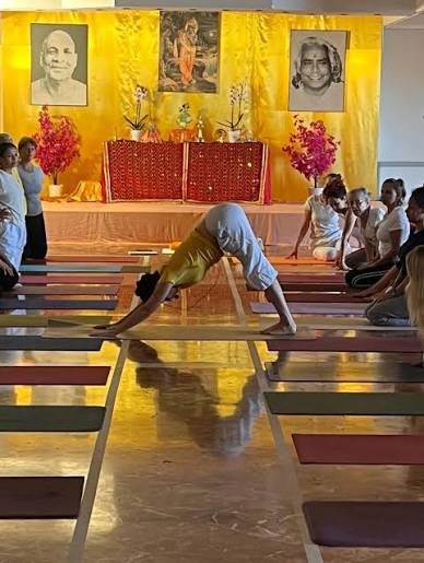 Work Exchange | Yoga and meditation facilitation
